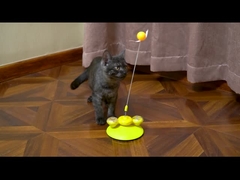 Donut Delight Cat Toy - Avançado Teaser Rotativo com Base de Primavera