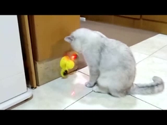 Brinquedo de gato