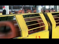 2 cordas de aço Demi