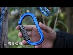 Alumínio 30KN Outdoor Carabiner Logotipo personalizado e cor D Forma de escalada Snap Hook