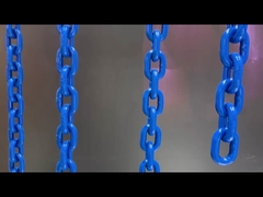 Estrutura de injecção Cercas de cadeia de plástico preto para controle de multidão