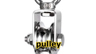 Polia