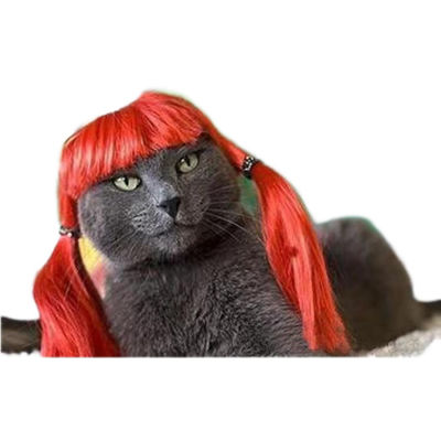 Bom preço. Peruca elegante preto e encaracolado para cães e gatos - Luxuriosa macia ajustável perfeita para eventos formais e sessões de fotos on-line
