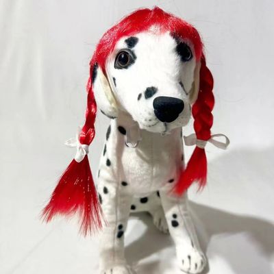 Bom preço. Perfis de cabelo elásticos e modernos - cores brilhantes fáceis de usar para gatos e cães ativos on-line