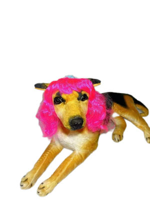 Bom preço. Cor do arco-íris Tupes de Nylon resistentes para animais de estimação de tamanho único Material rápido ideal para todas as estações do ano e aventura on-line